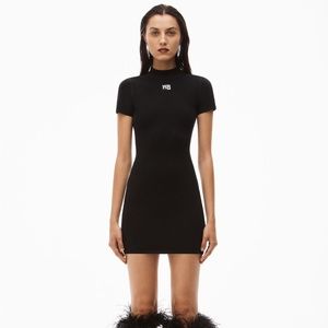 Alexander Wang Mock Neck Tee Dress in Bodycon Knit